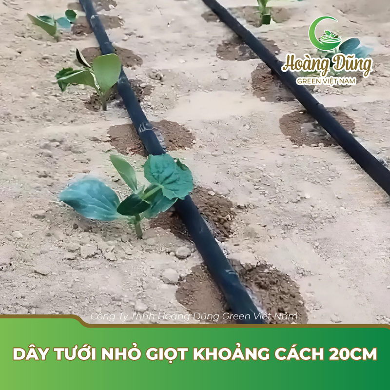 Dây tưới nhỏ giọt khoảng cách 20cm